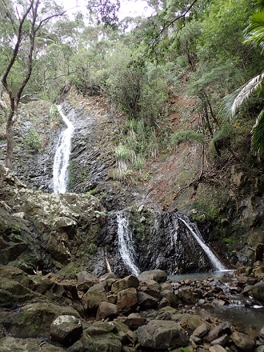 Waterfalls along Warrens Track on Aotea